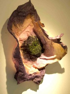 Vallmo - shibori